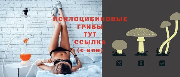 таблы Гатчина