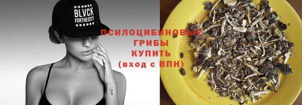 гидра Балабаново