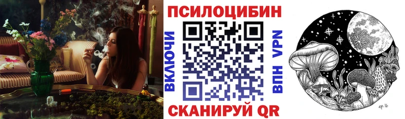 Галлюциногенные грибы Psilocybe  цены наркотик  MEGA ссылка  Рудня 